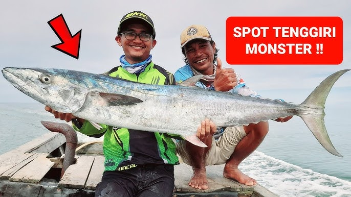 Inilah 5 Spot Memancing Tenggiri Di Pemancingan Laut